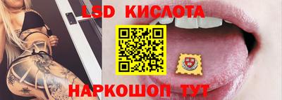 крисы Кунгур