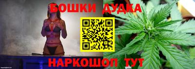 крисы Кунгур