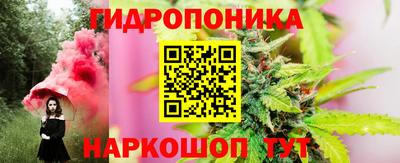 крисы Кунгур