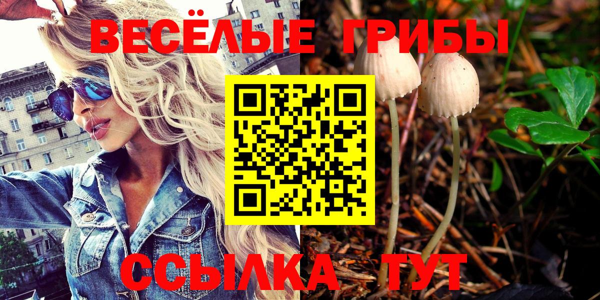 Галлюциногенные грибы Psilocybe Шали